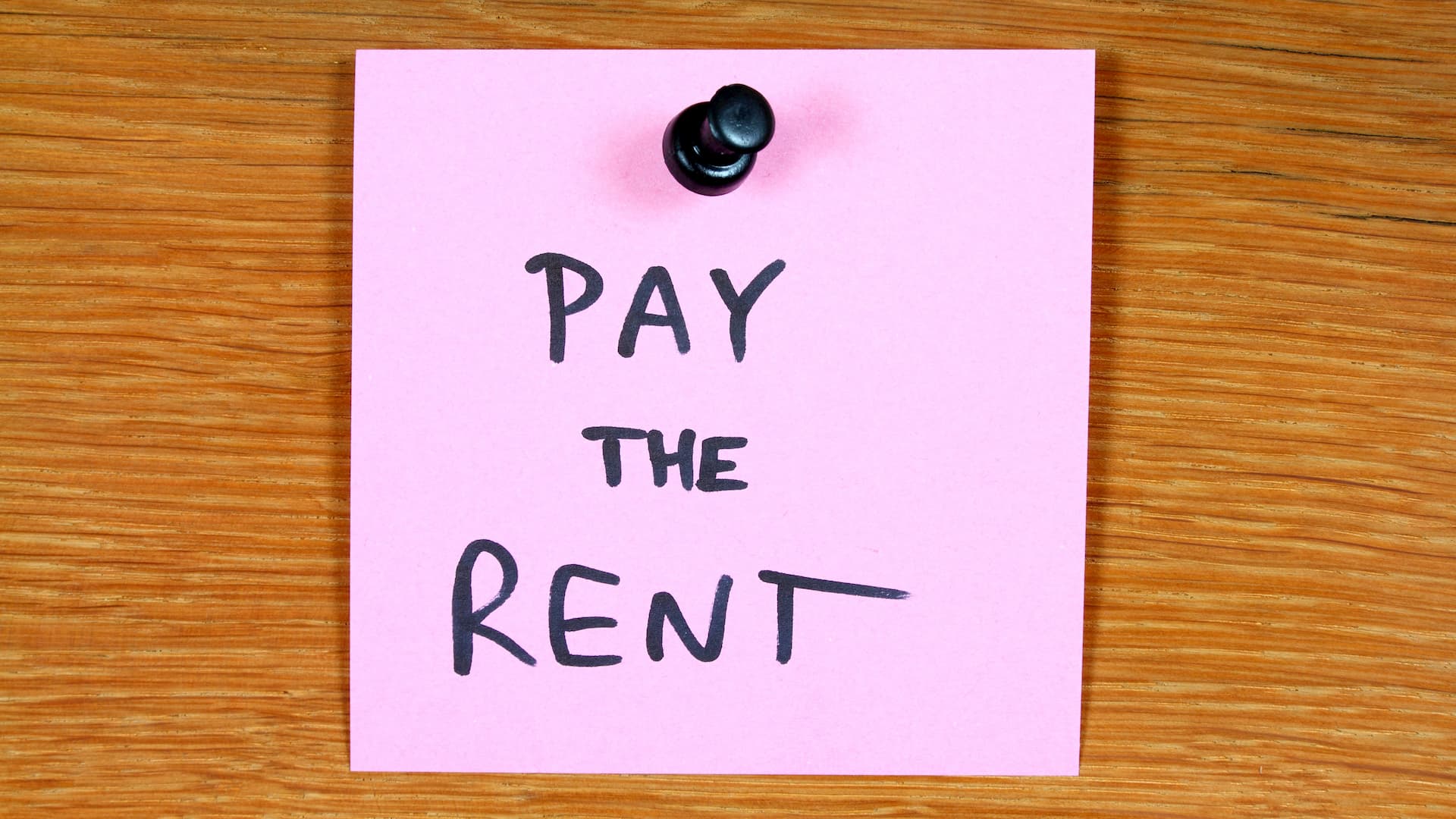 Pay the rent